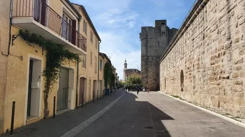 Aigues-Mortes (30220)